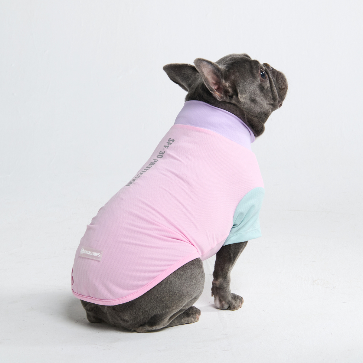 Sunblock Dog T-Shirt - Color Block