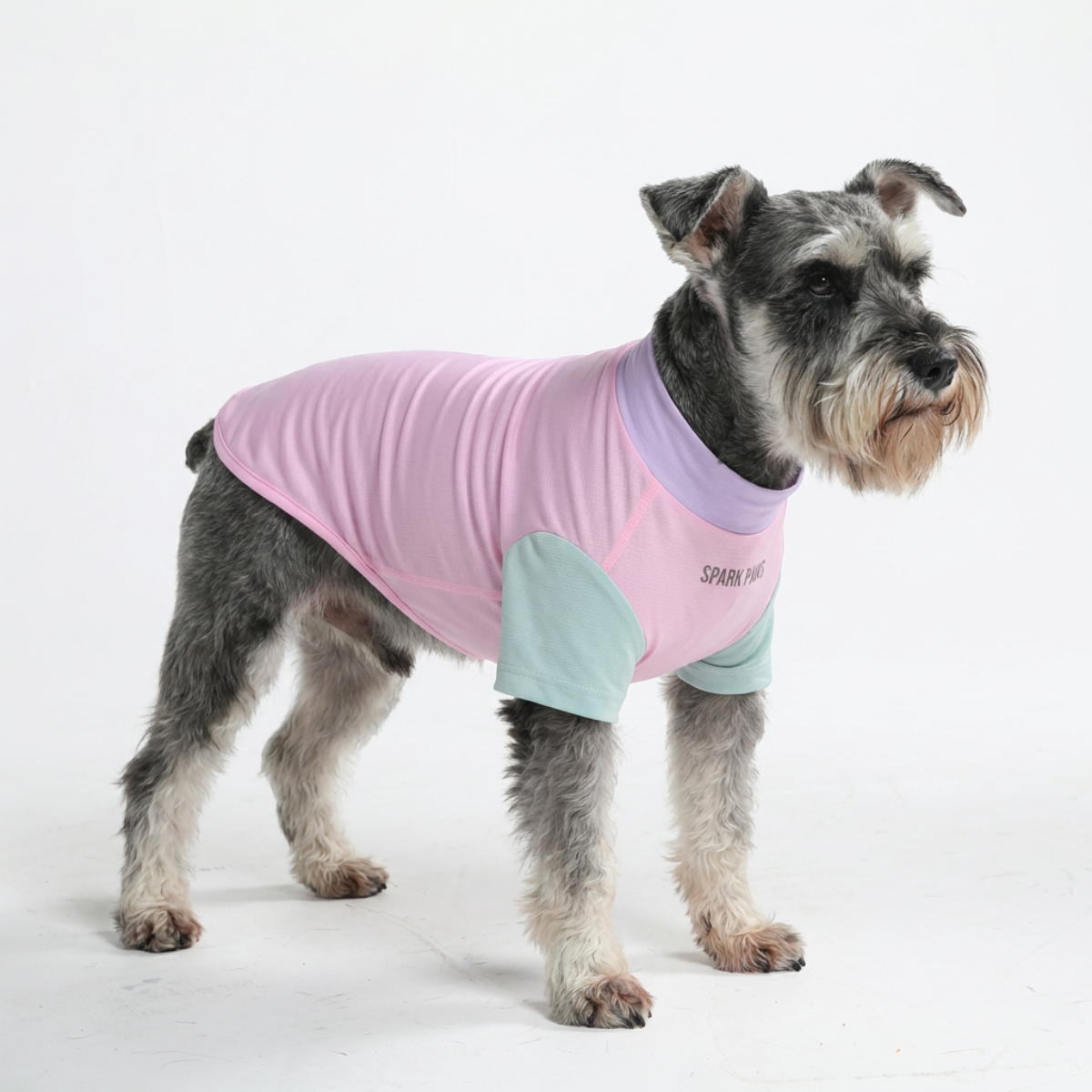 Sunblock Dog T-Shirt - Color Block