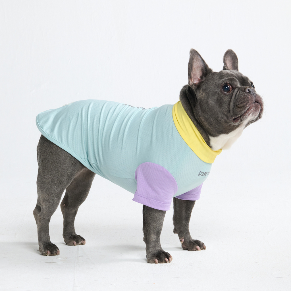 Sunblock Dog T-Shirt - Color Block