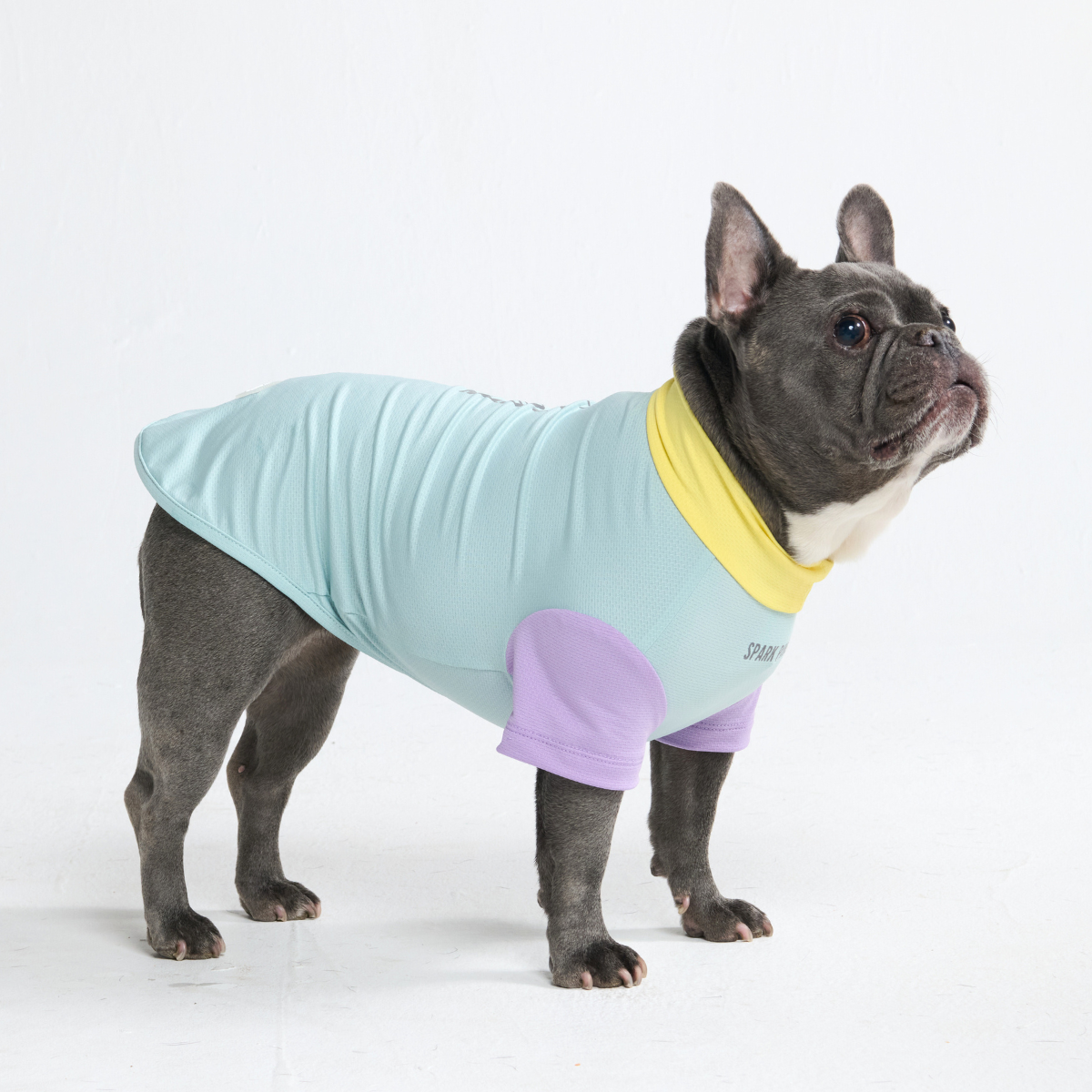 Sunblock Dog T-Shirt - Color Block