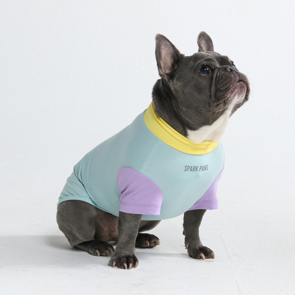 Sunblock Dog T-Shirt - Color Block
