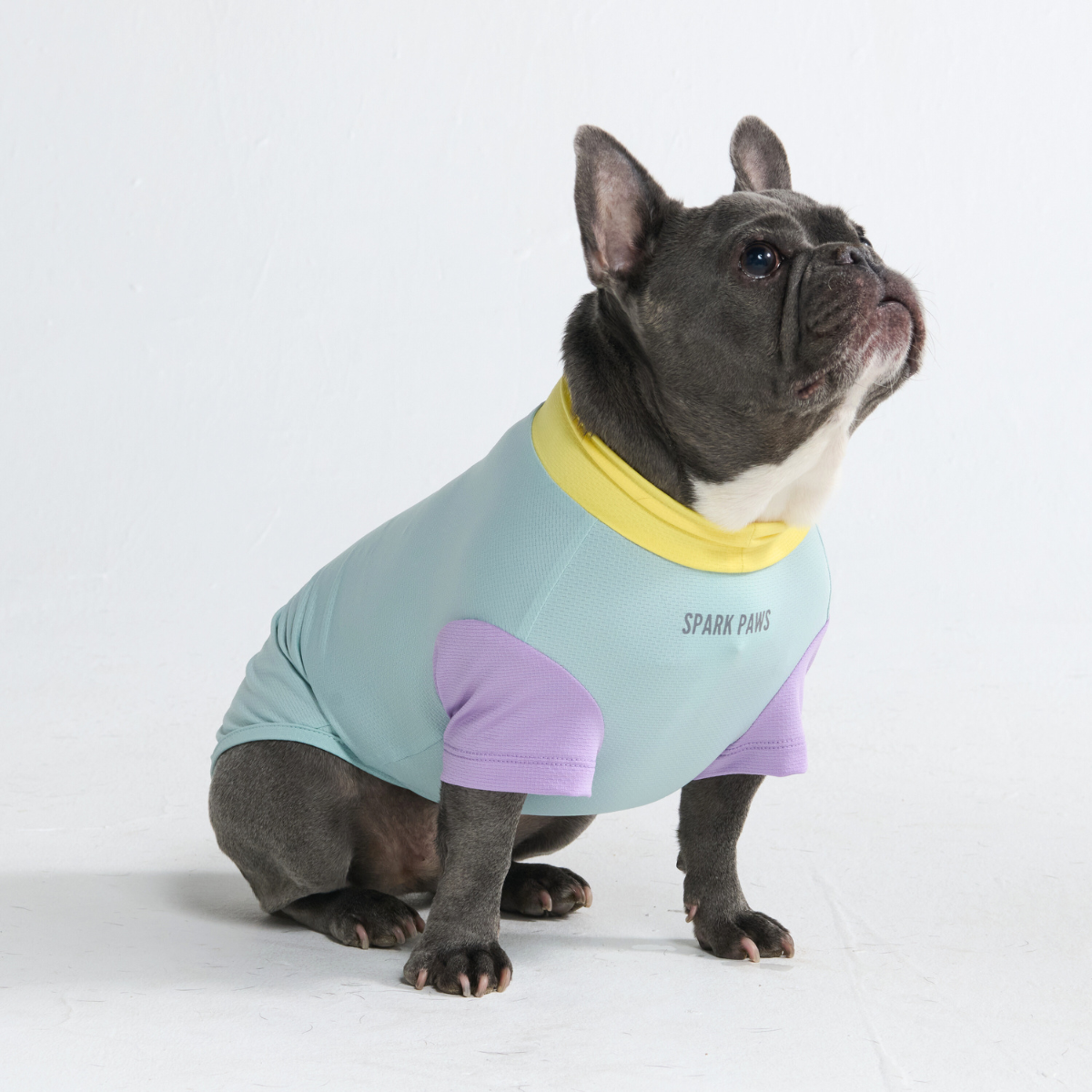 Sunblock Dog T-Shirt - Color Block
