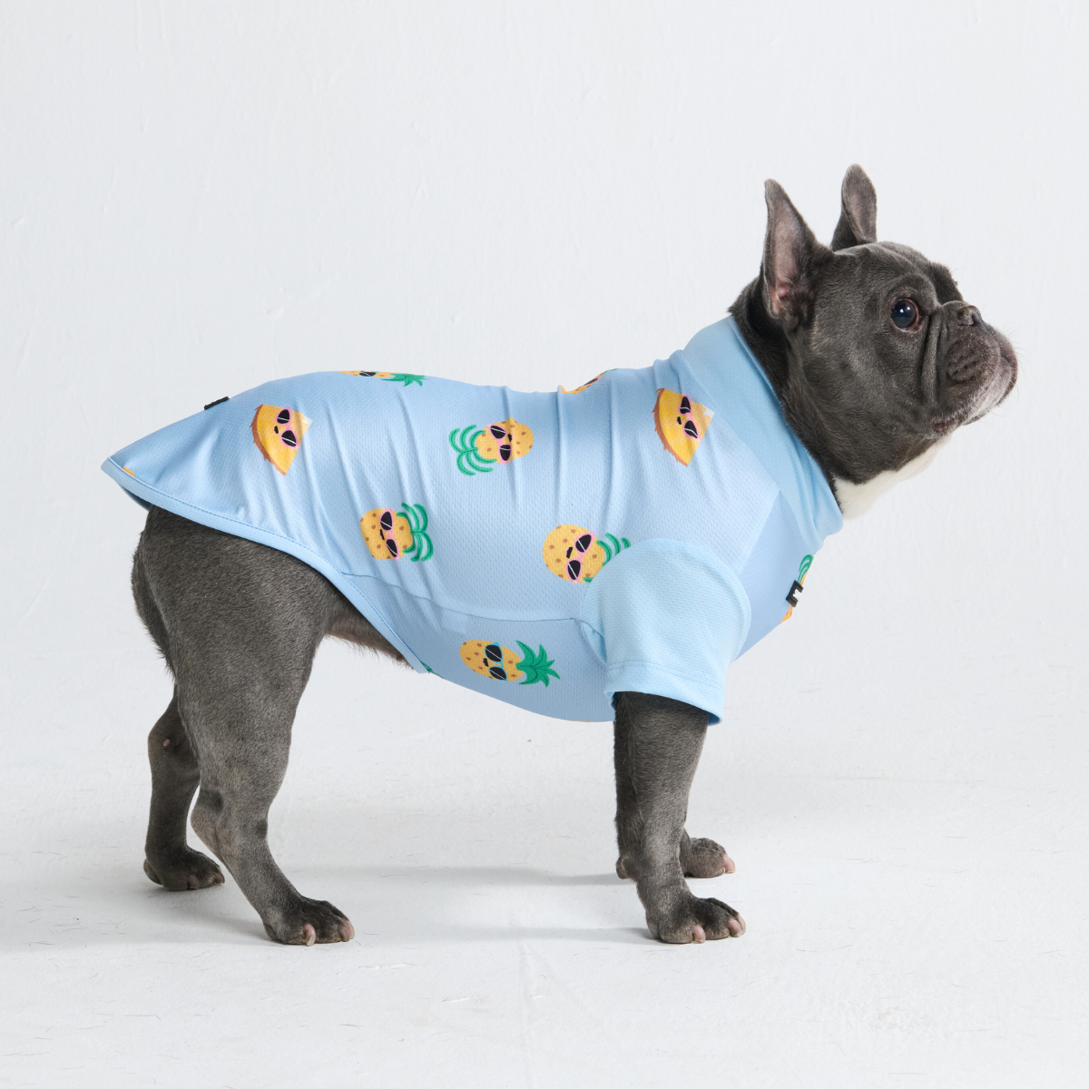 Sunblock Dog T-Shirt - Prints