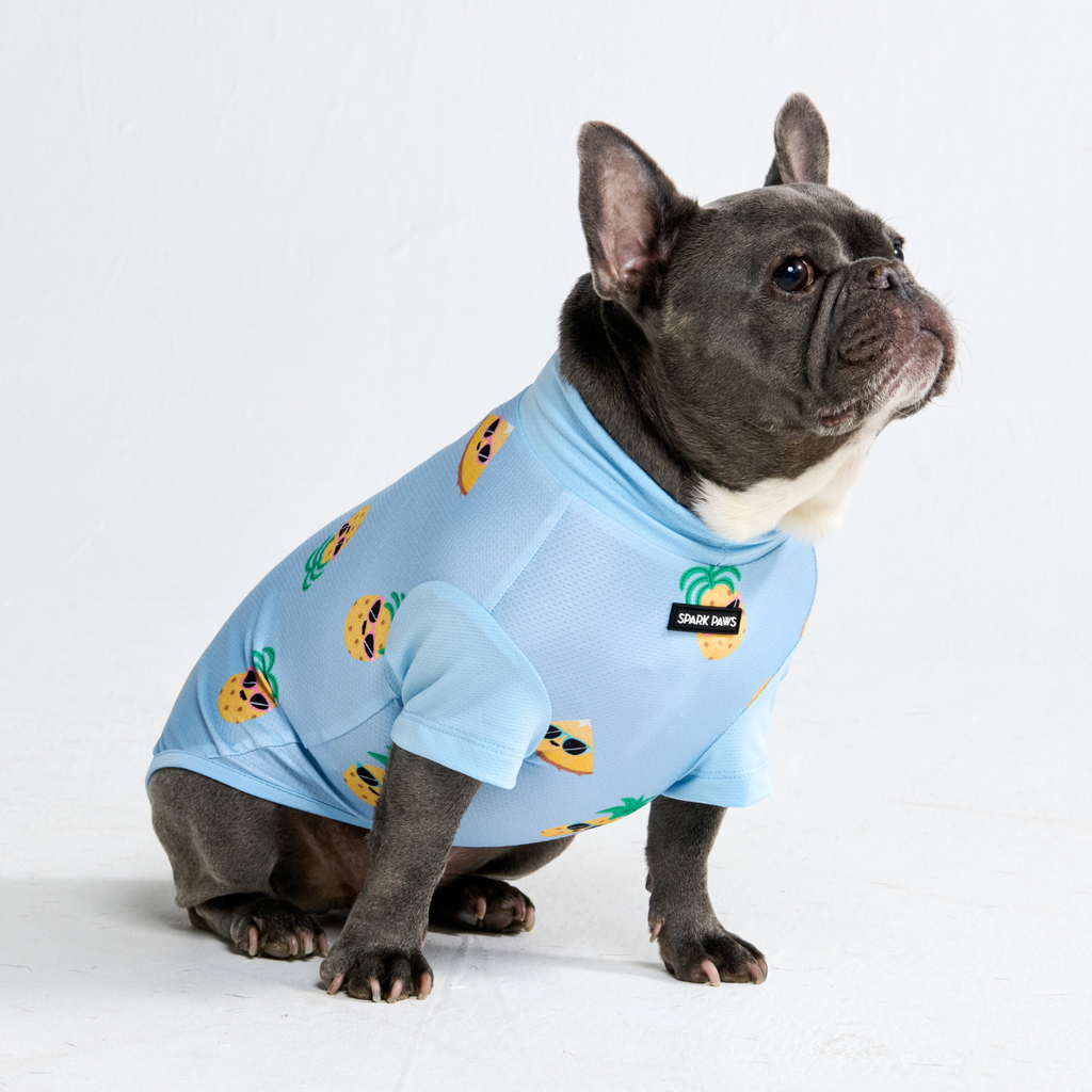 Sunblock Dog T-Shirt - Prints