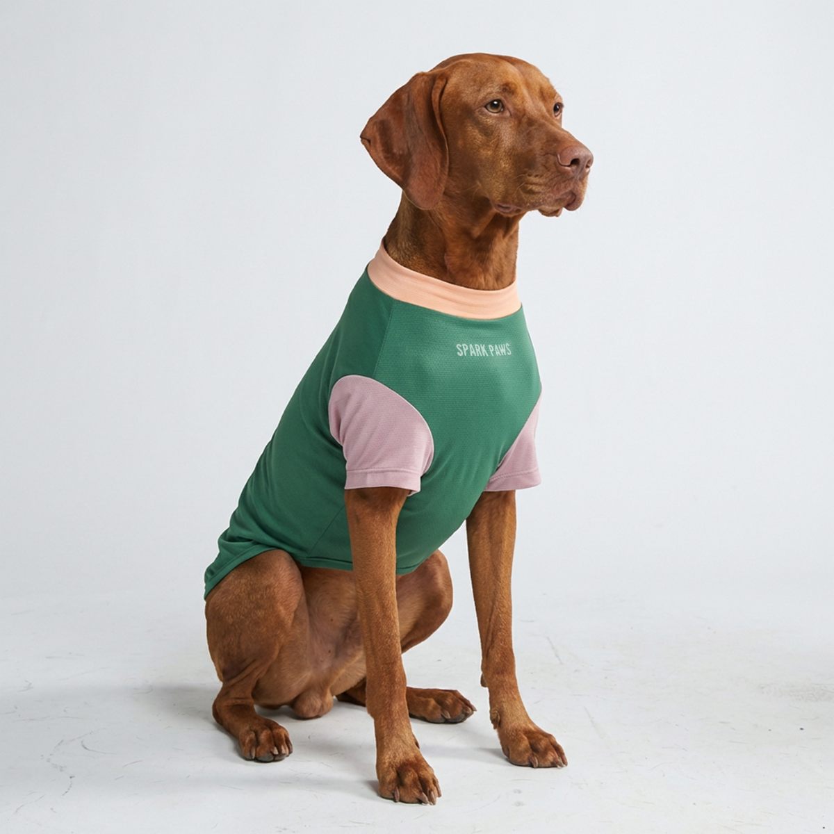 Sunblock Dog T-Shirt - Color Block
