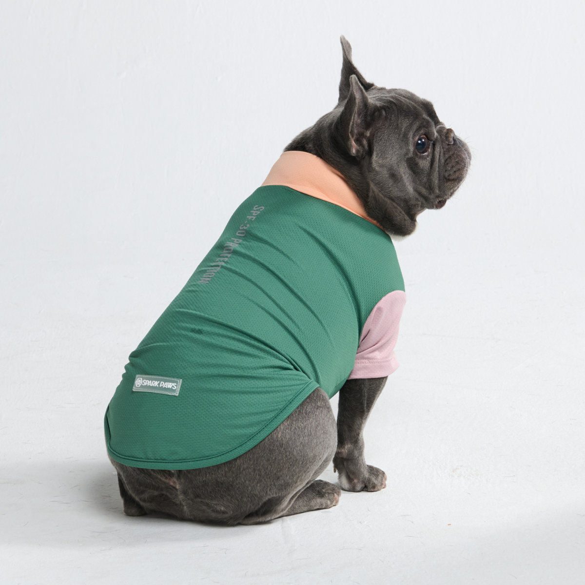 Sunblock Dog T-Shirt - Color Block