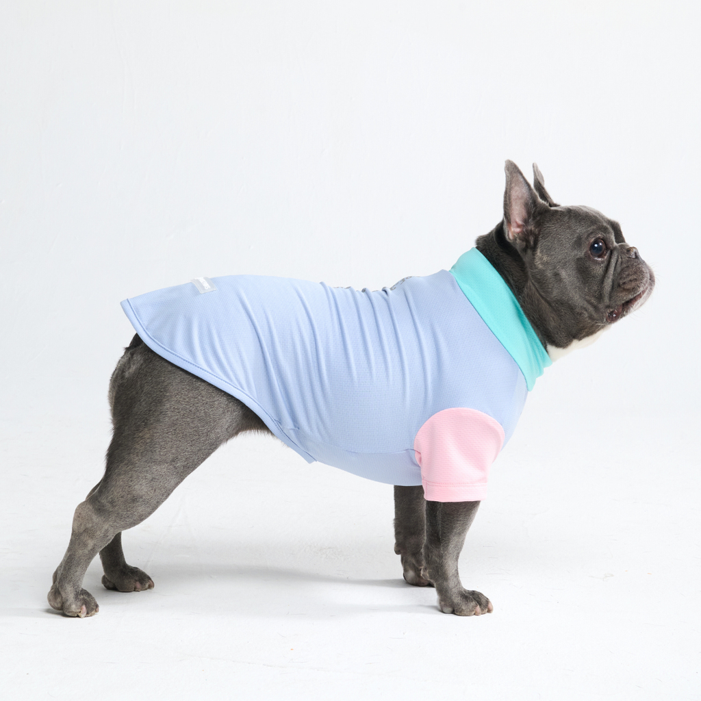 Sunblock Dog T-Shirt - Color Block