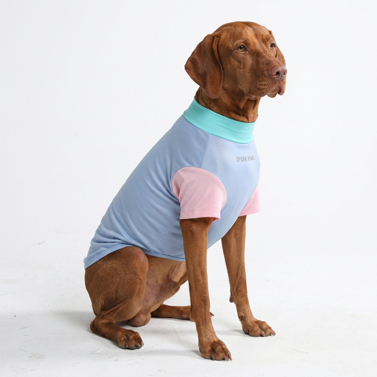 Sunblock Dog T-Shirt - Color Block