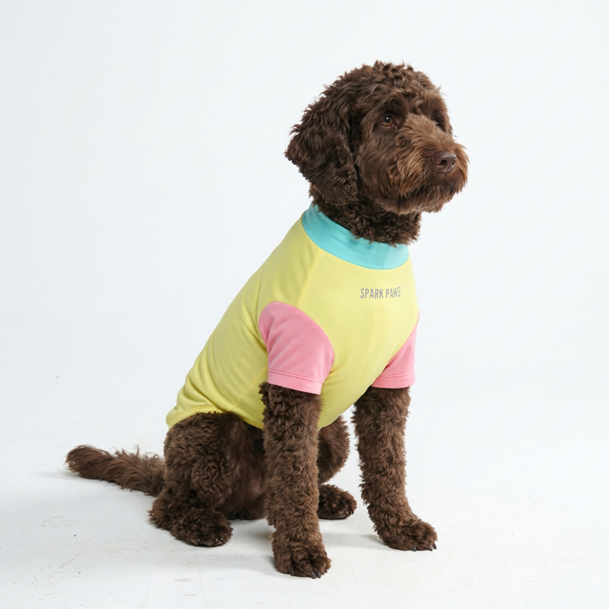 Sunblock Dog T-Shirt - Color Block