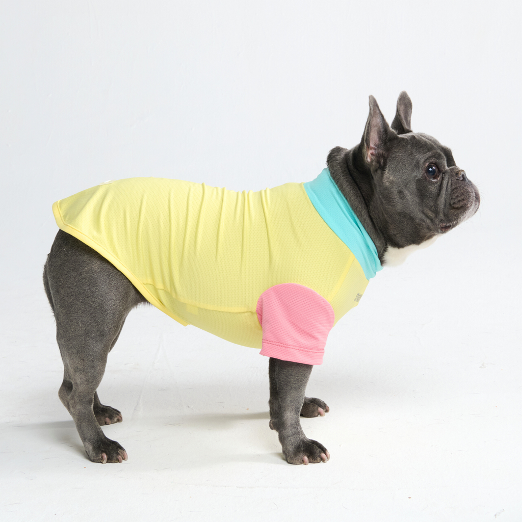 Sunblock Dog T-Shirt - Color Block