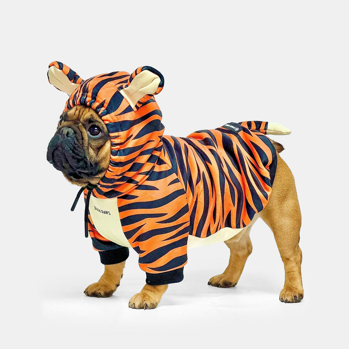 Halloween Dog Hoodies (Limited Edition)