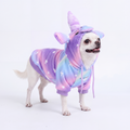 Halloween Dog Hoodies (Limited Edition)