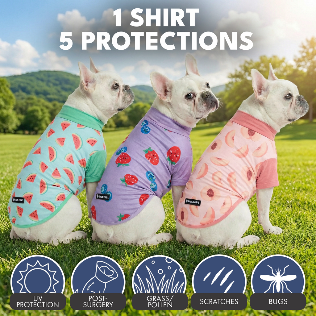 Sunblock T-Shirt 3 Pack