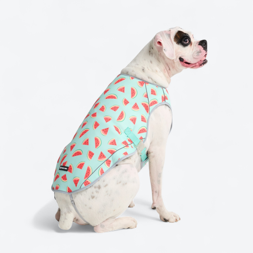 Chilltech™ Dog Cooling Vests
