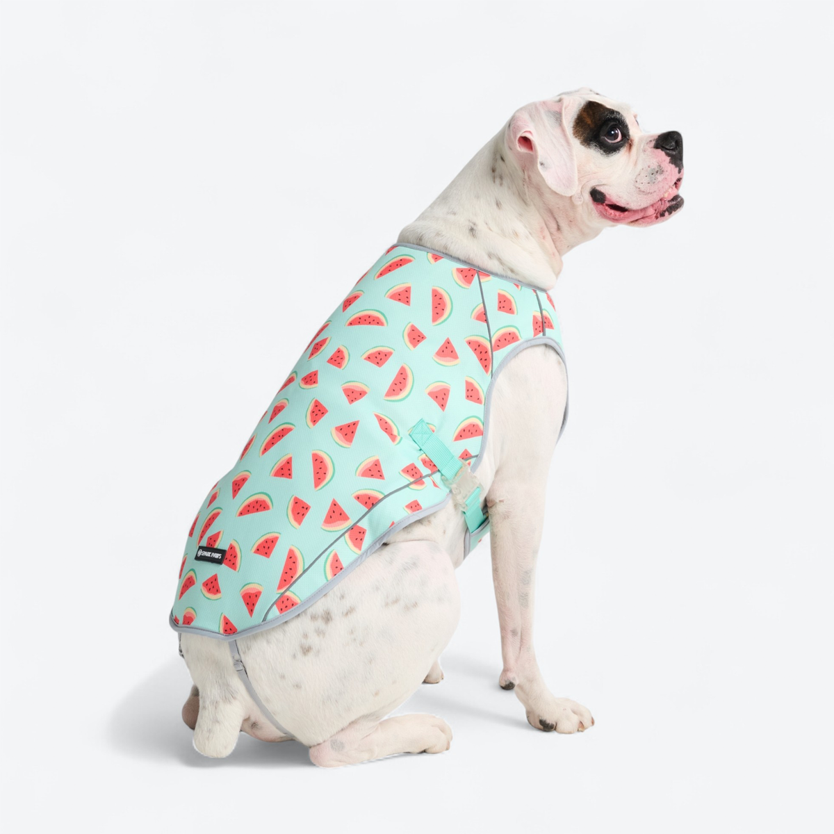 Chilltech™ Dog Cooling Vests