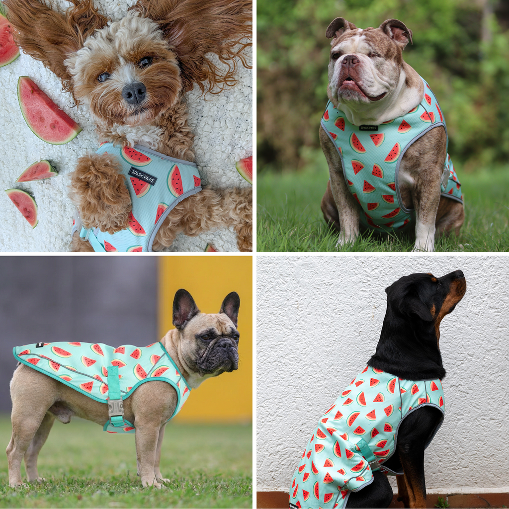 Chilltech™ Dog Cooling Vests