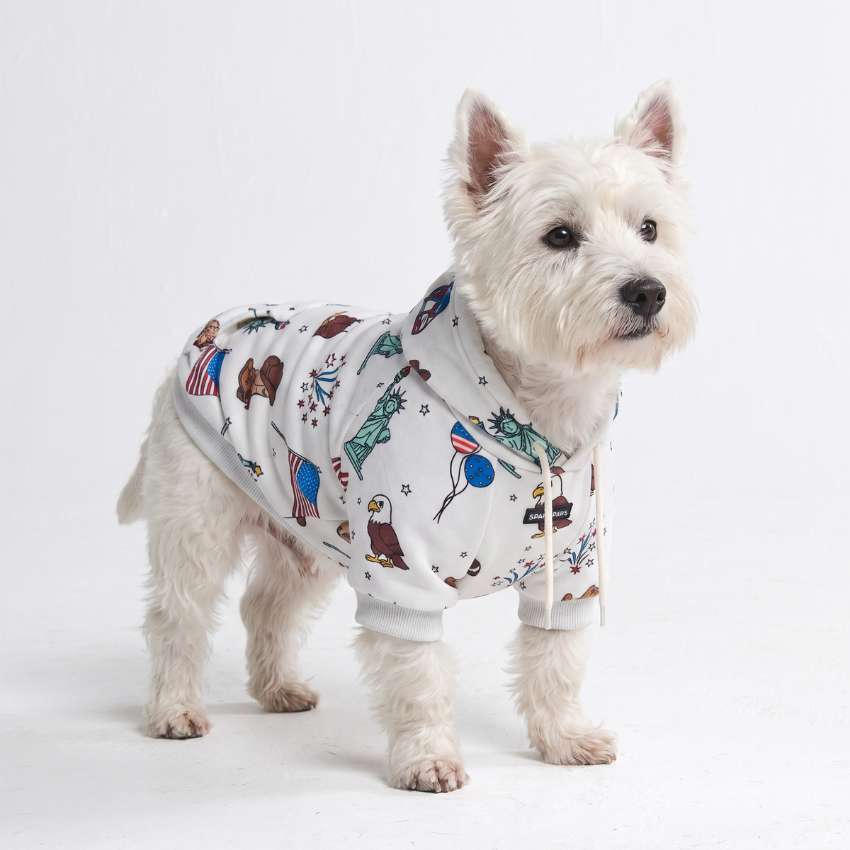 Around the World Dog Hoodies