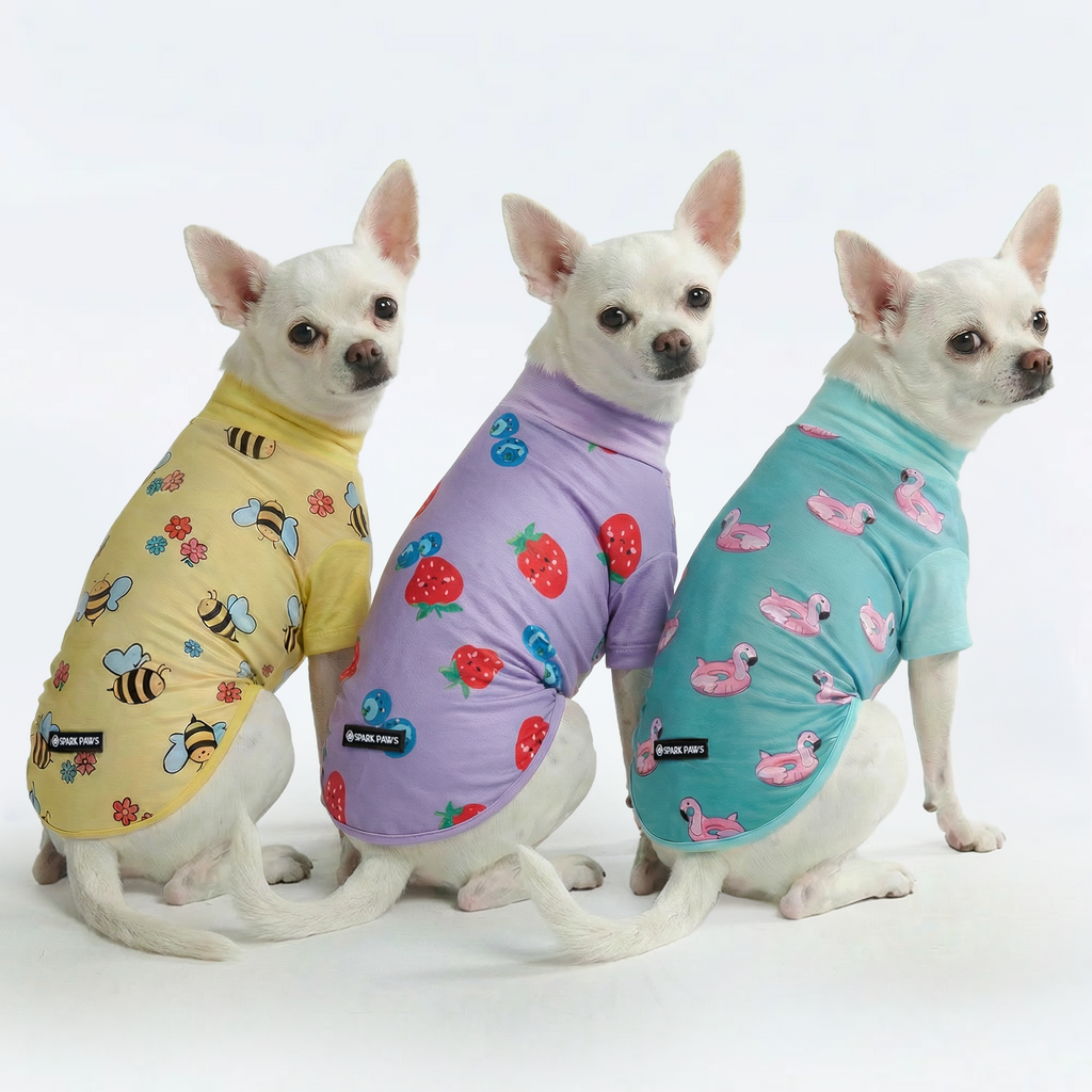 Sunblock T-Shirt 3 Pack