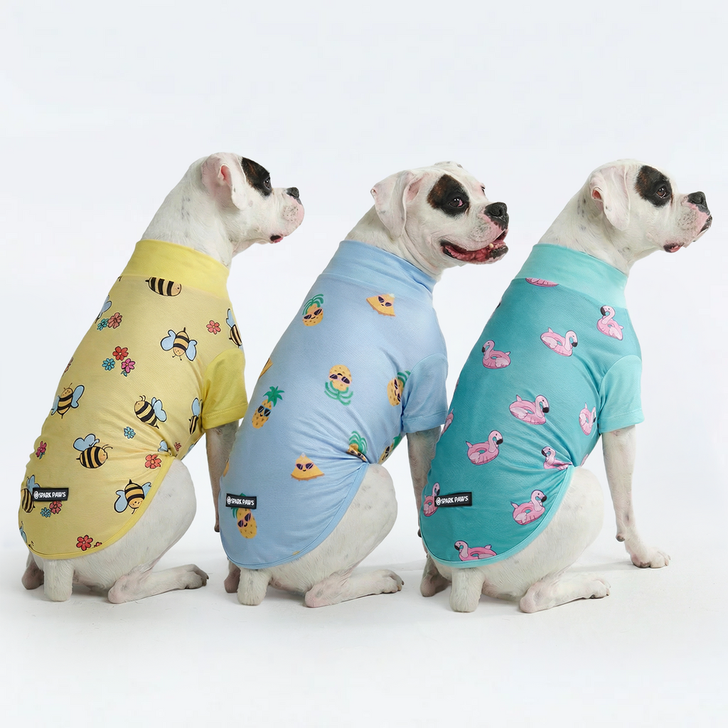 Sunblock T-Shirt 3 Pack