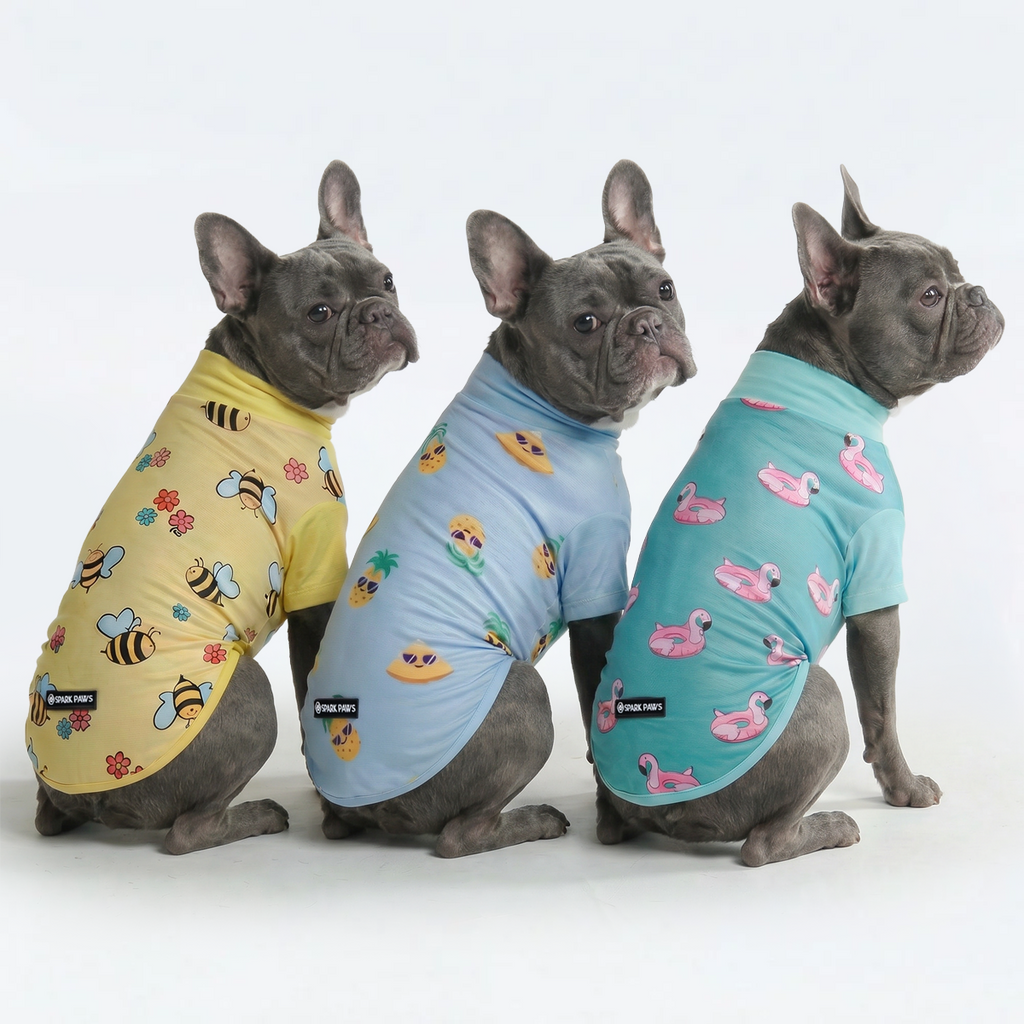 Sunblock T-Shirt 3 Pack