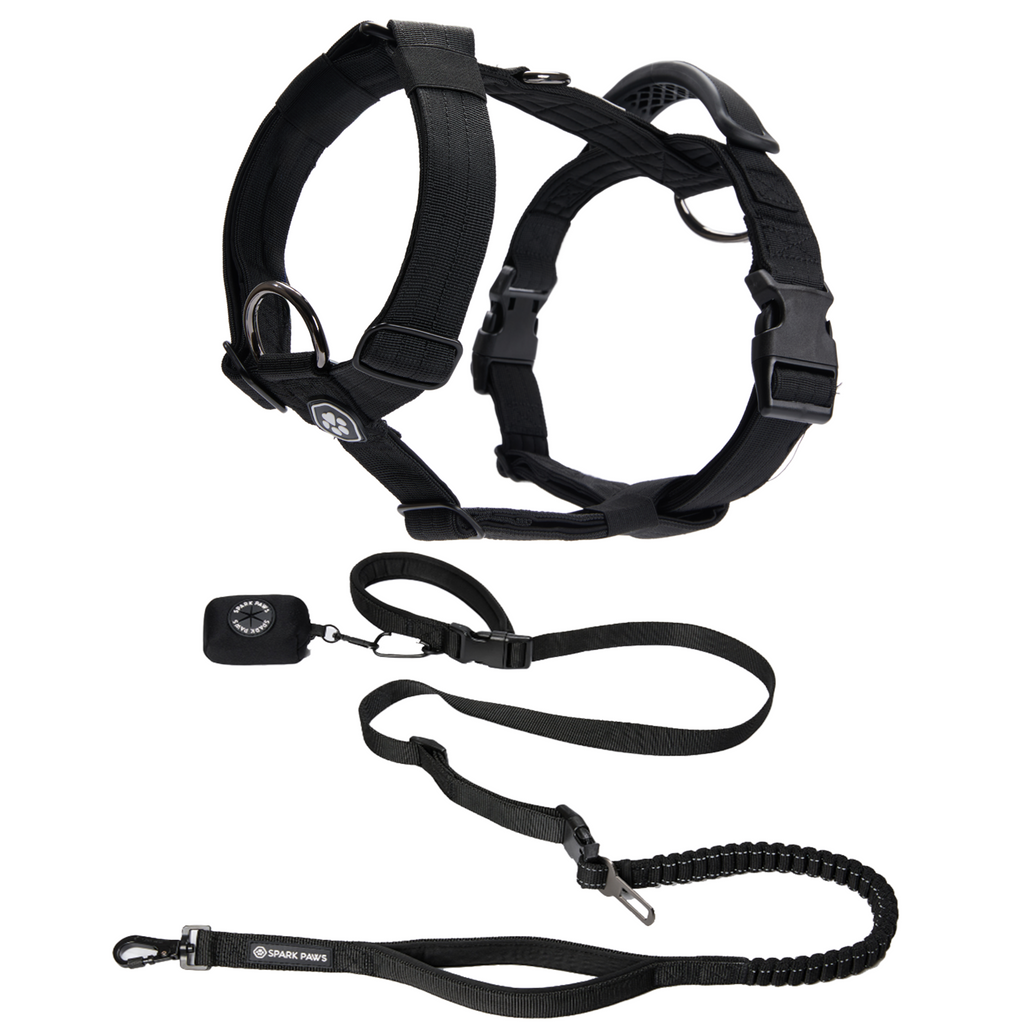 Comfort Control No-Pull Dog Harness and Multipurpose Leash Sets