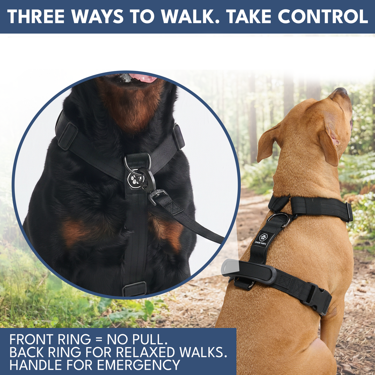 Comfort Control No-Pull Dog Harness and Multipurpose Leash Sets