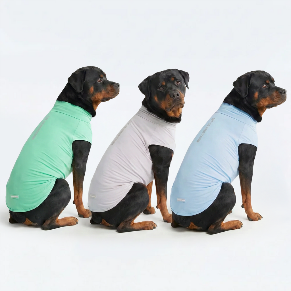 Sunblock T-Shirt 3 Pack