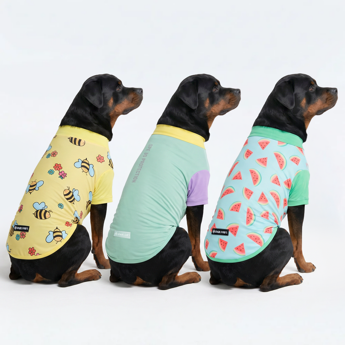 Sunblock T-Shirt 3 Pack
