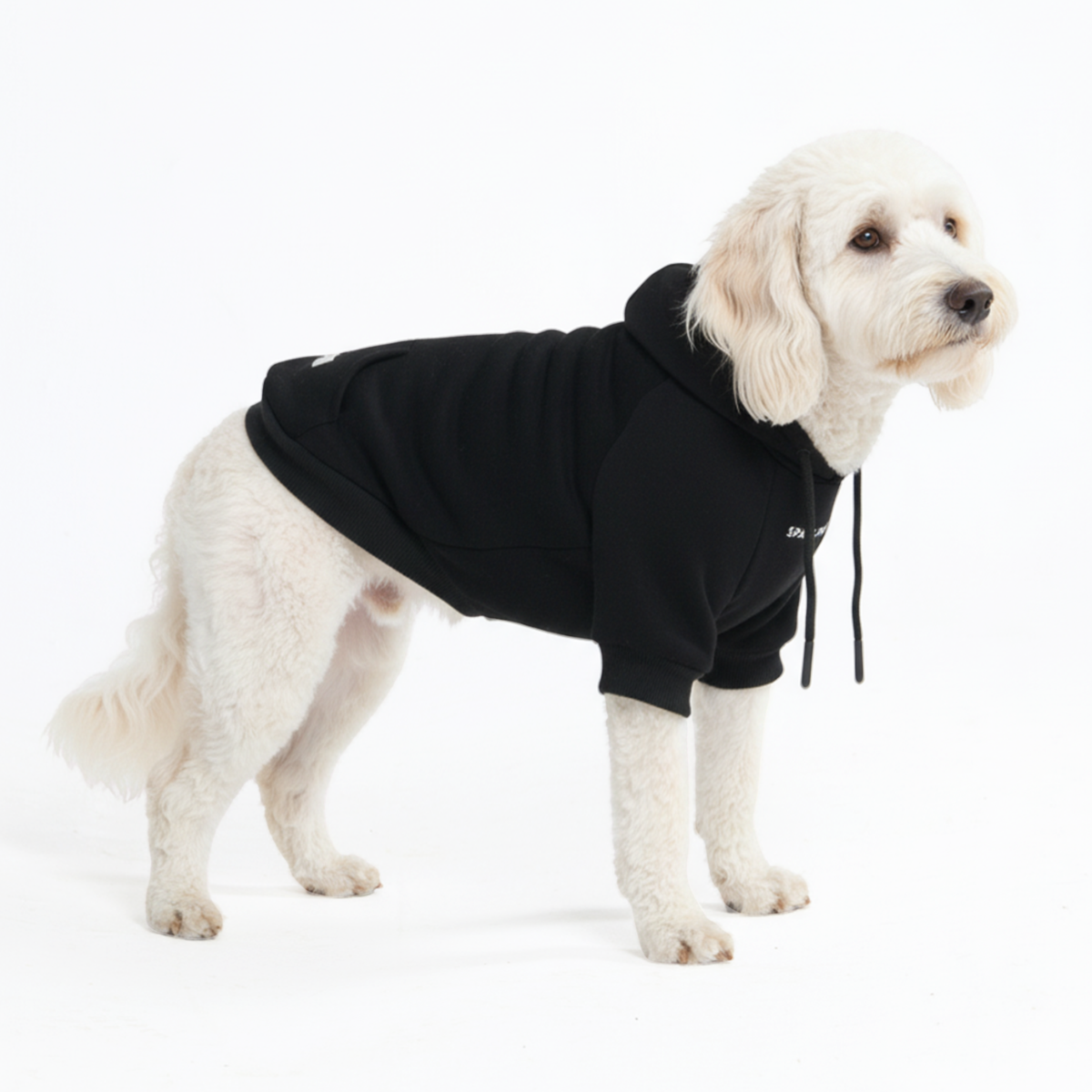Essential Dog Hoodies