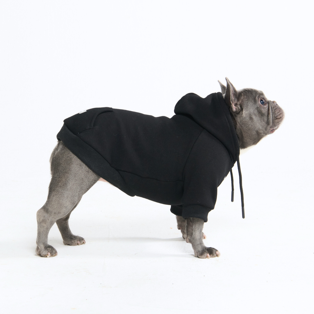Essential Dog Hoodies
