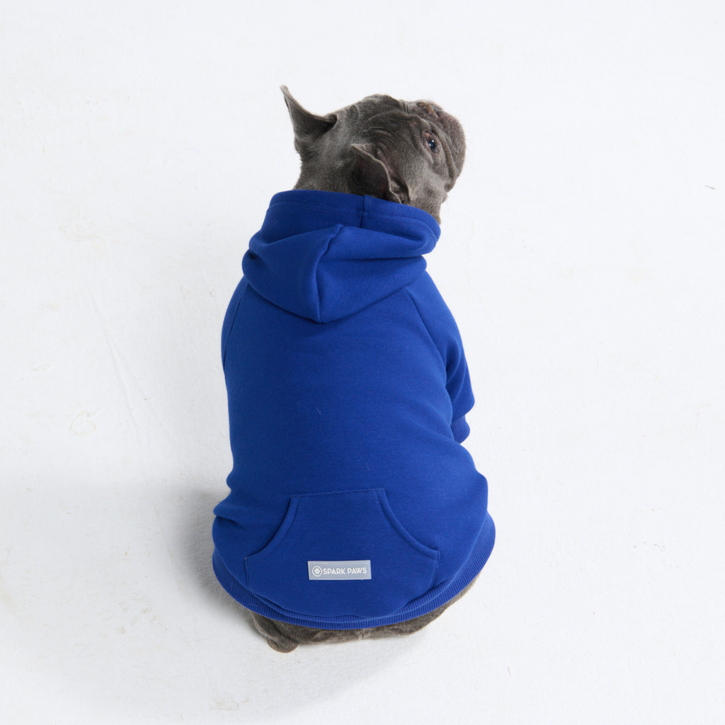 Essential Dog Hoodies