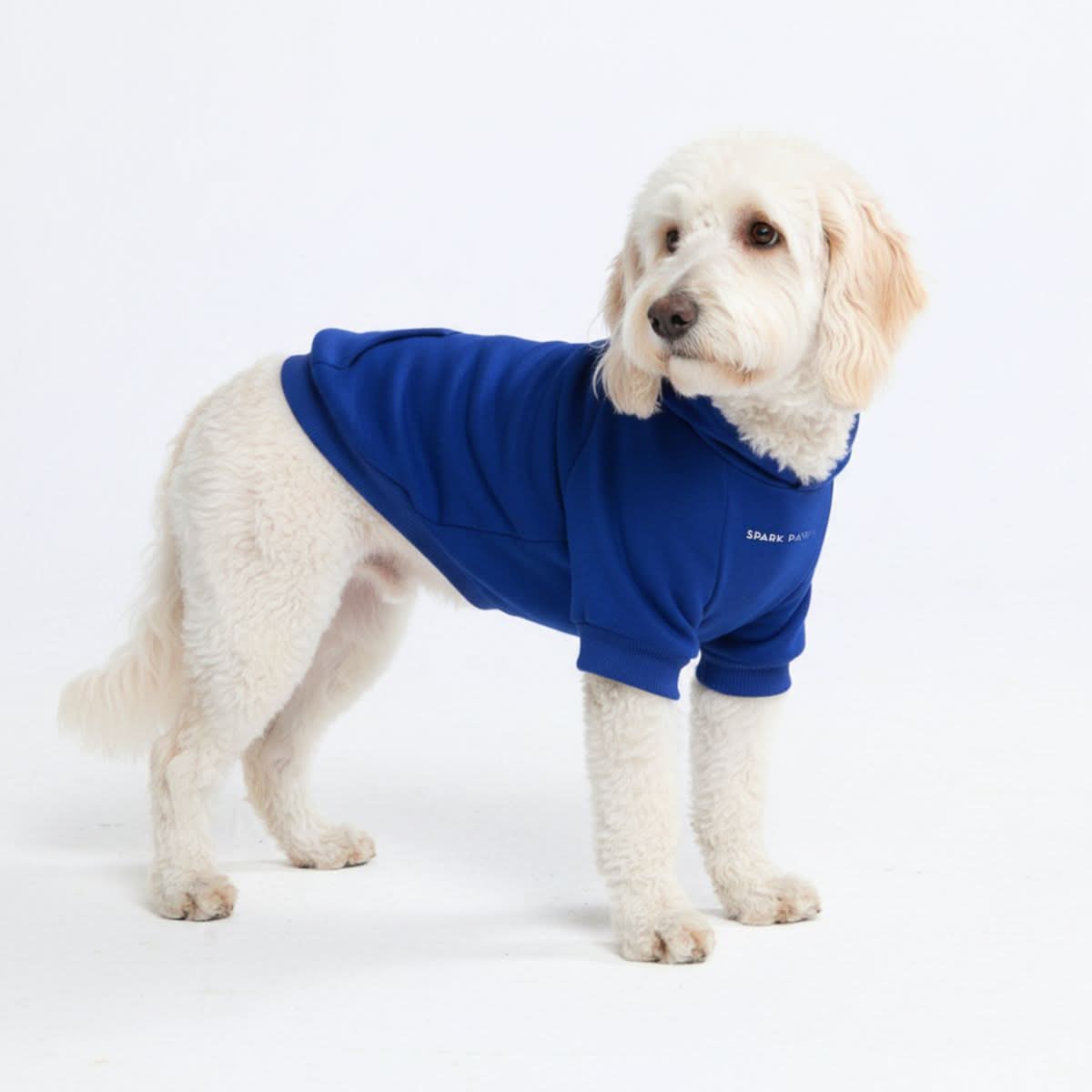 Essential Dog Hoodies