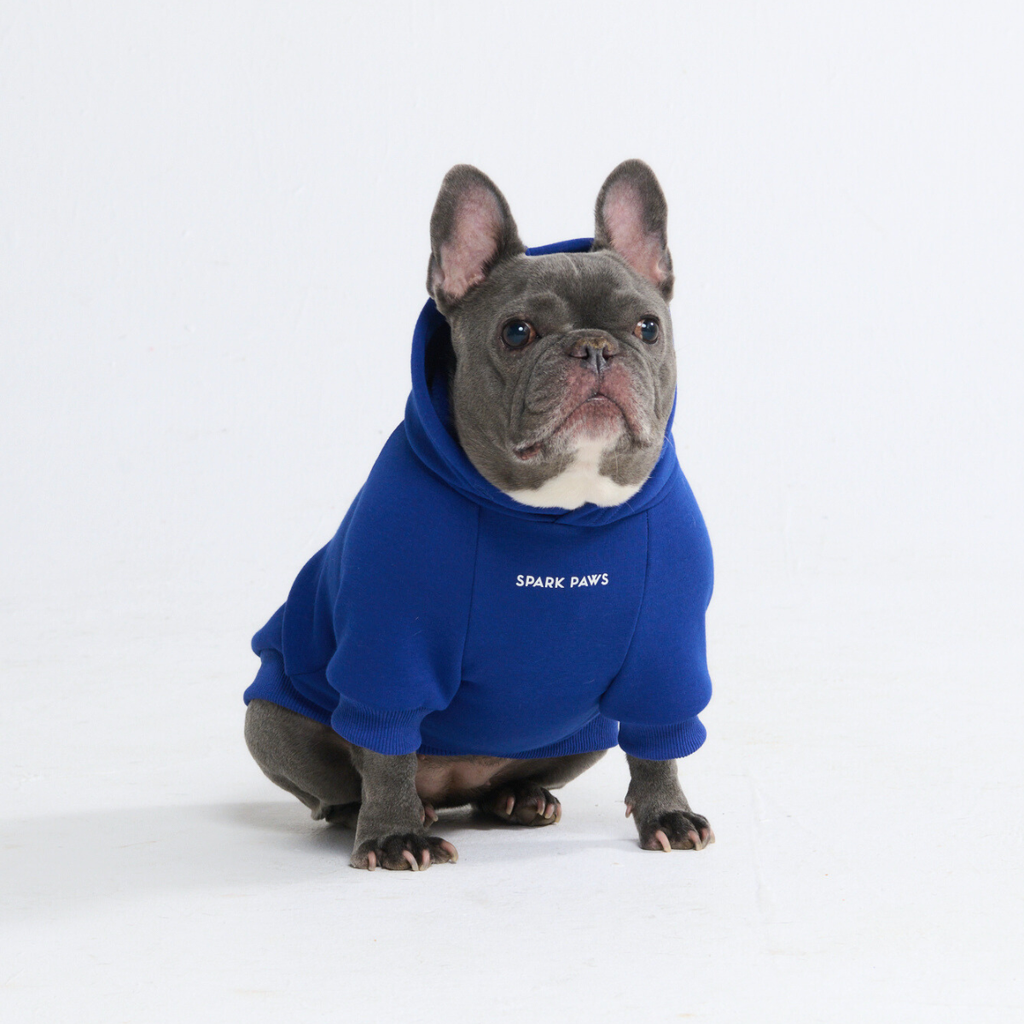 Essential Dog Hoodies