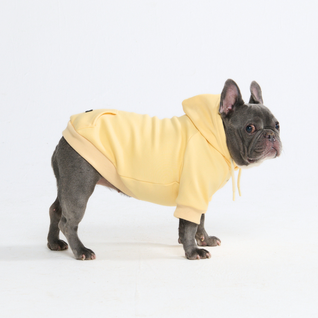 Essential Dog Hoodies