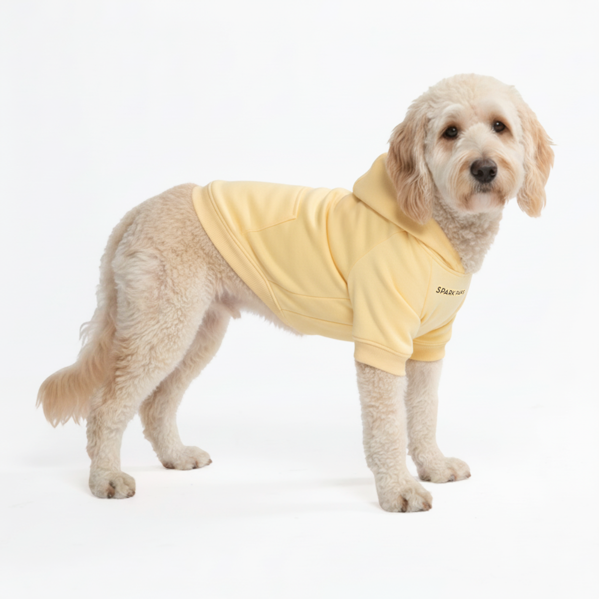 Essential Dog Hoodies