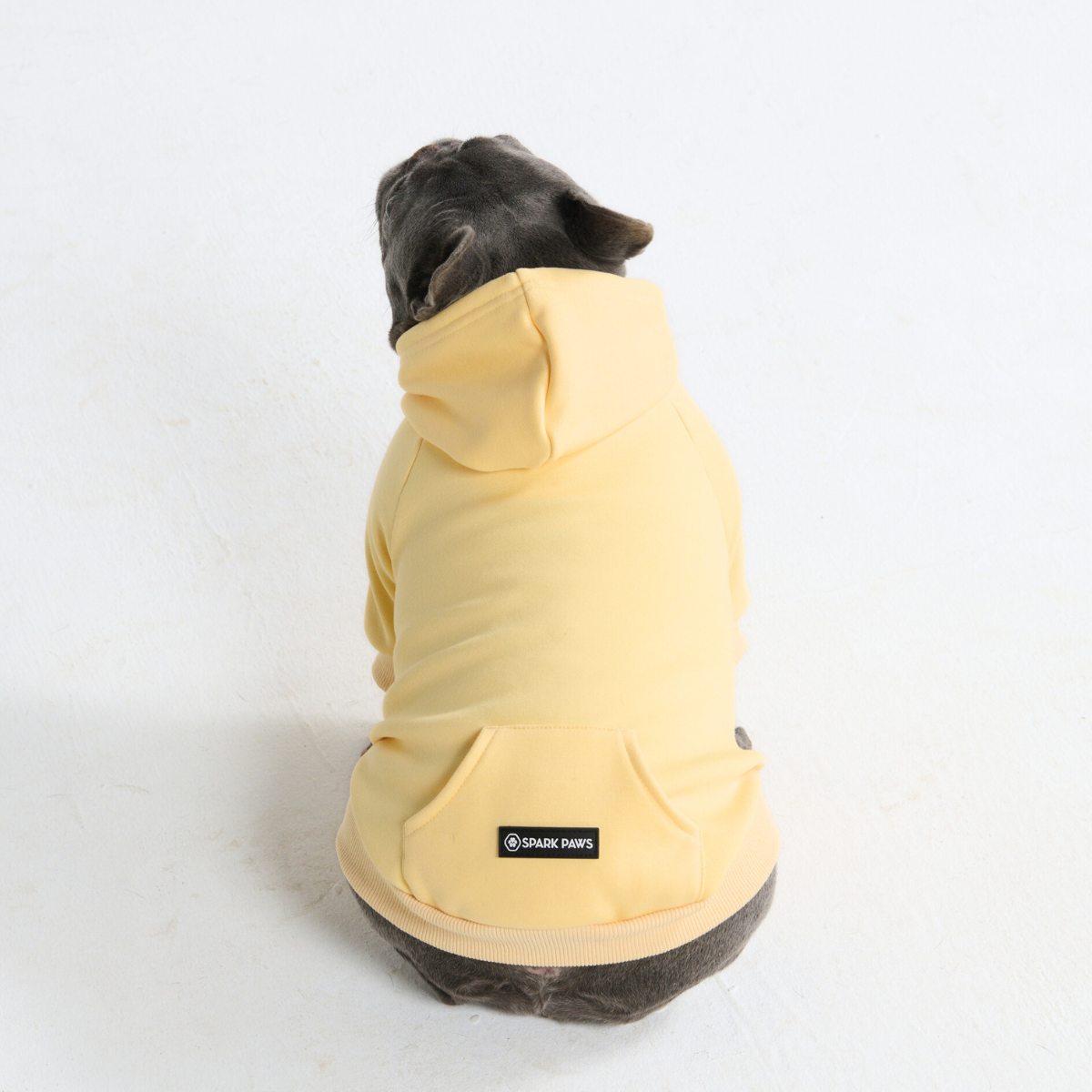 Essential Dog Hoodies