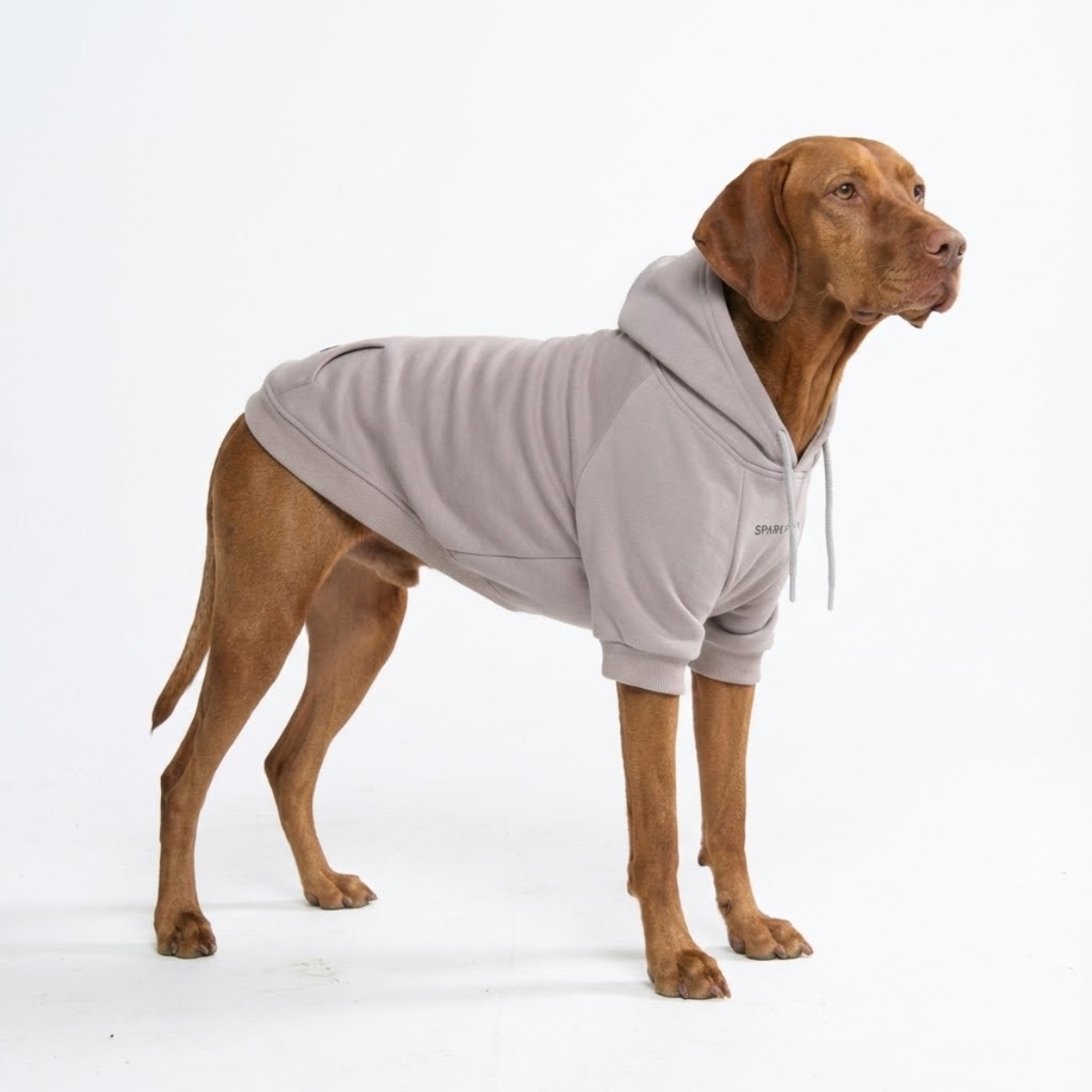 Essential Dog Hoodies