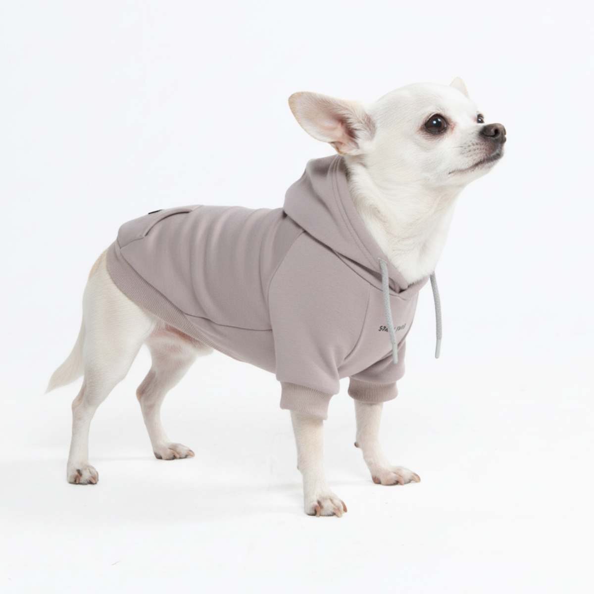 Essential Dog Hoodies