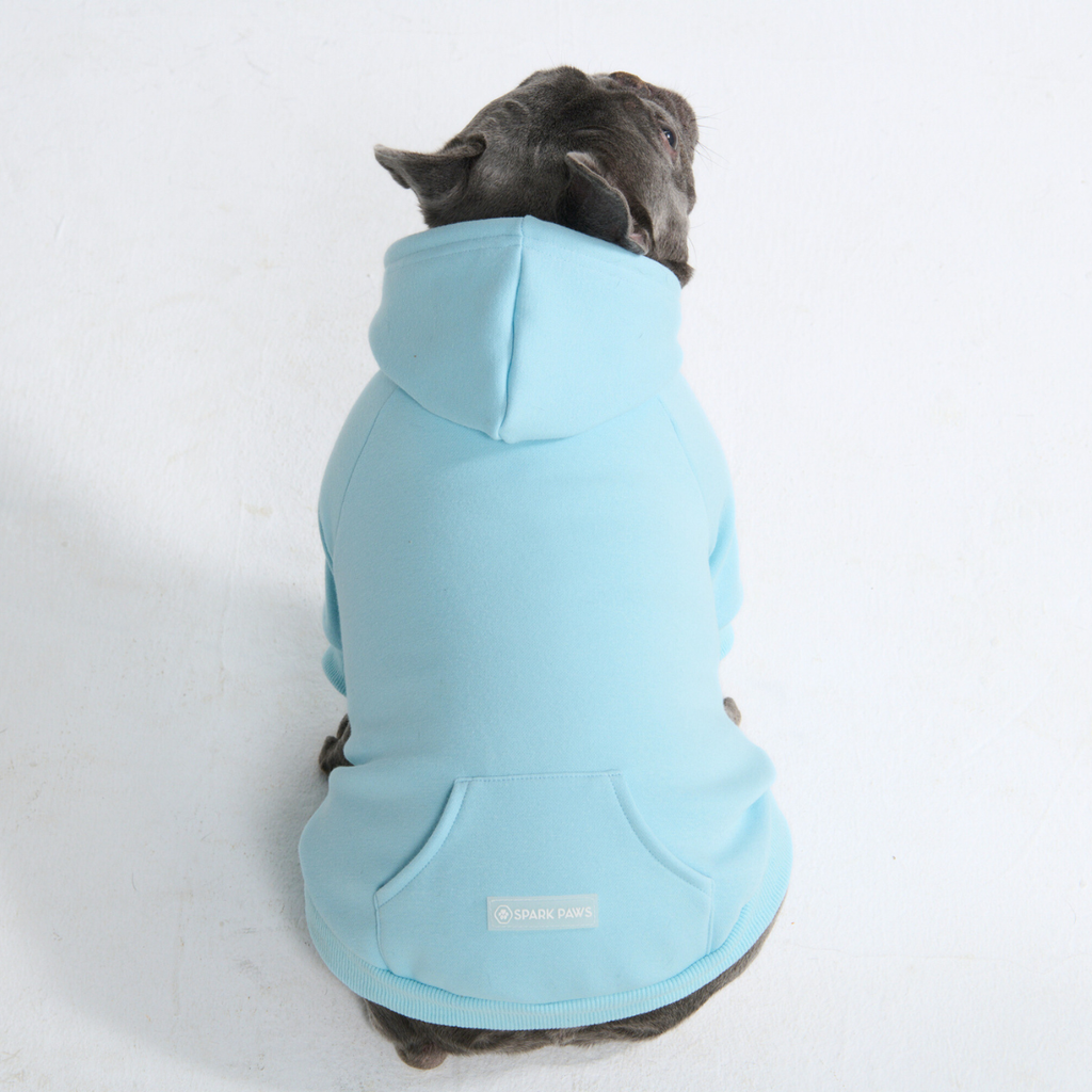 Essential Dog Hoodies