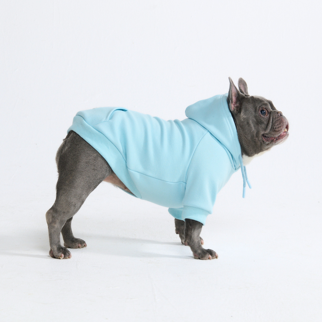 Essential Dog Hoodies