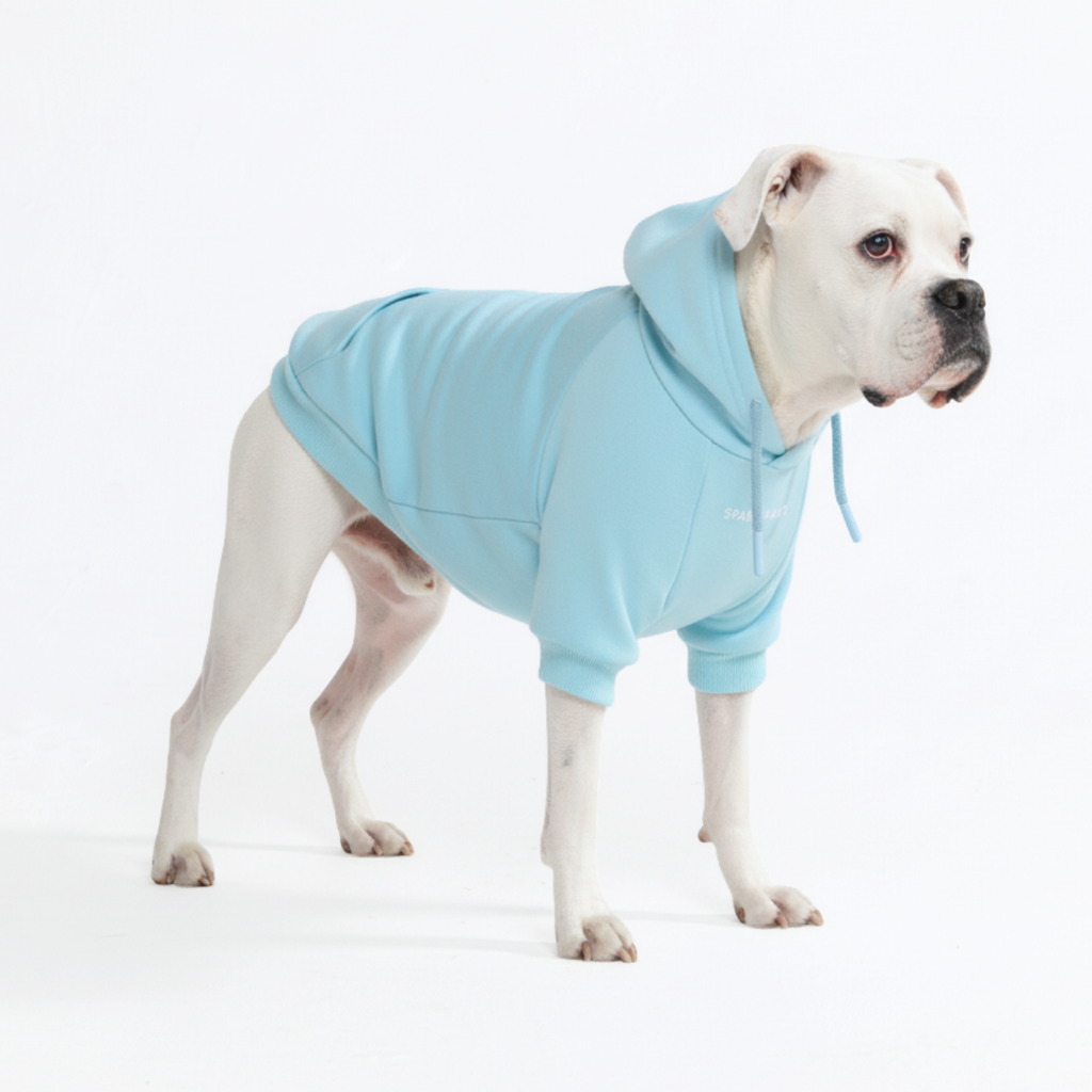 Essential Dog Hoodies