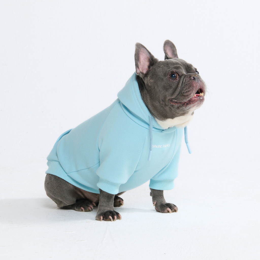 Essential Dog Hoodies