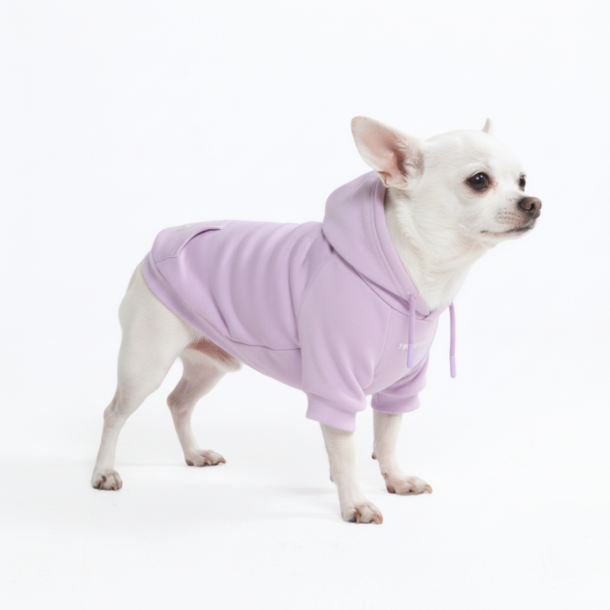 Essential Dog Hoodies