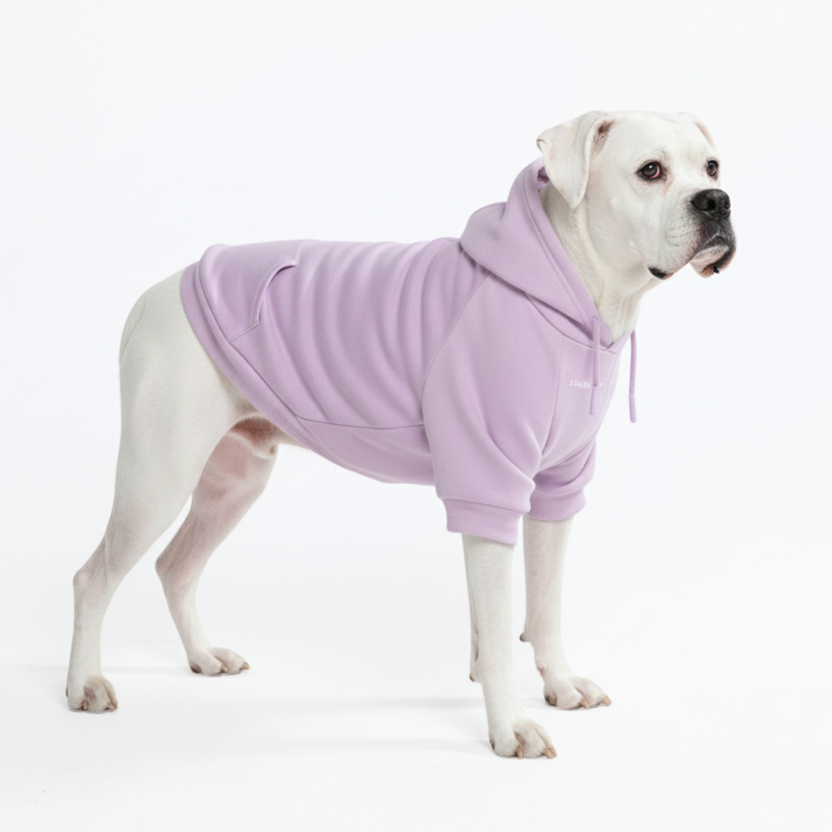 Essential Dog Hoodies