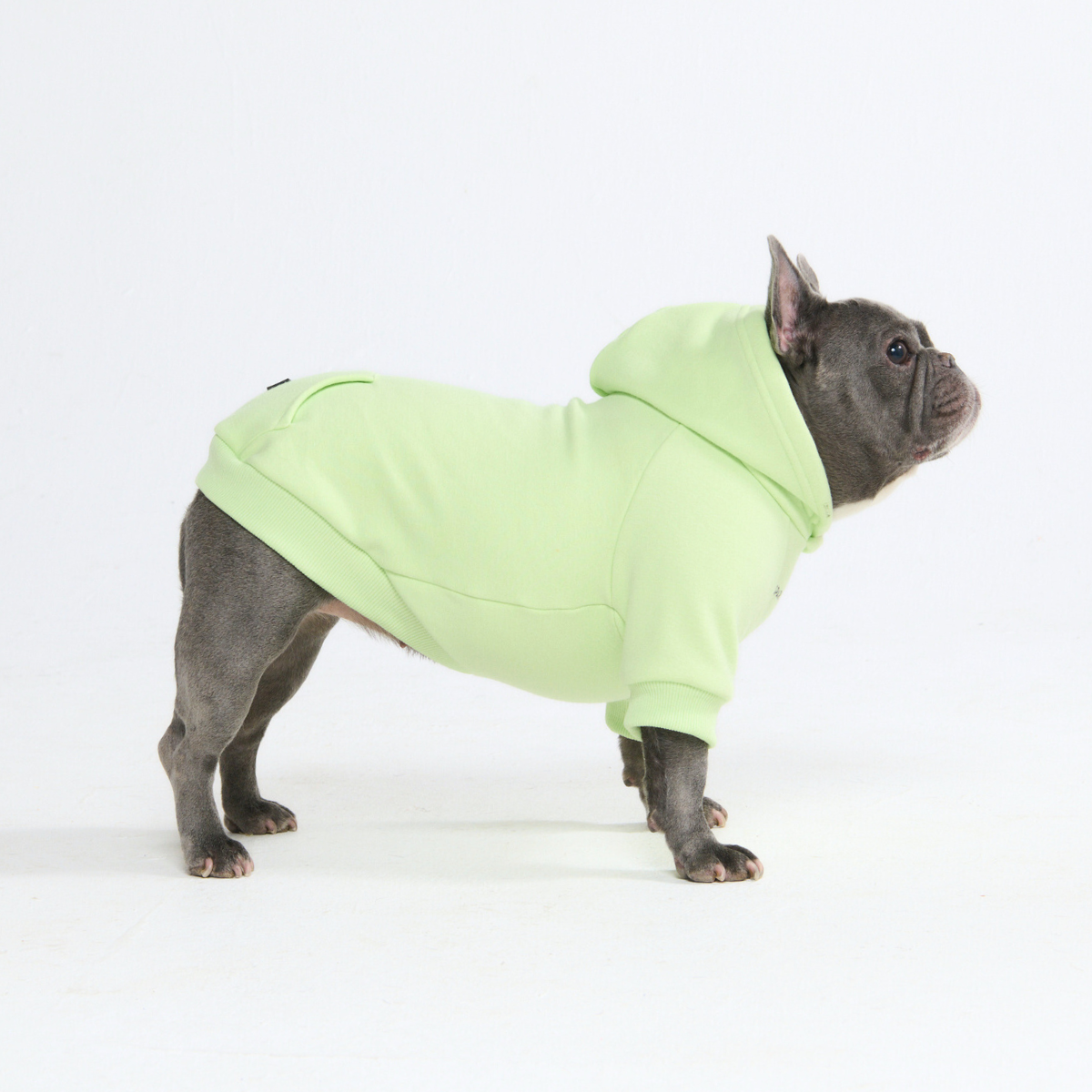 Essential Dog Hoodies