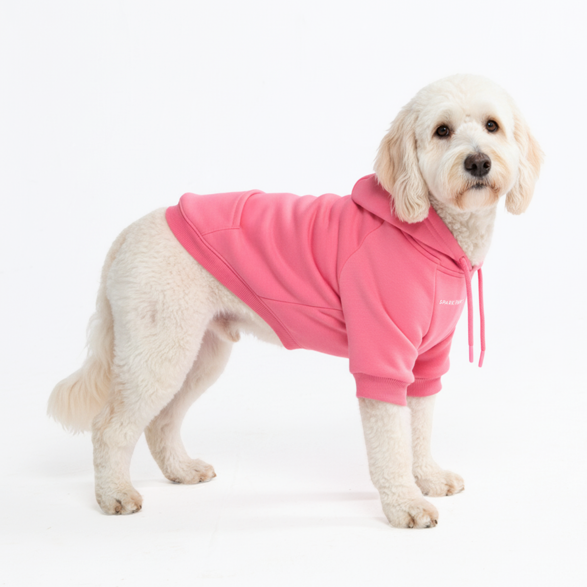 Essential Dog Hoodies