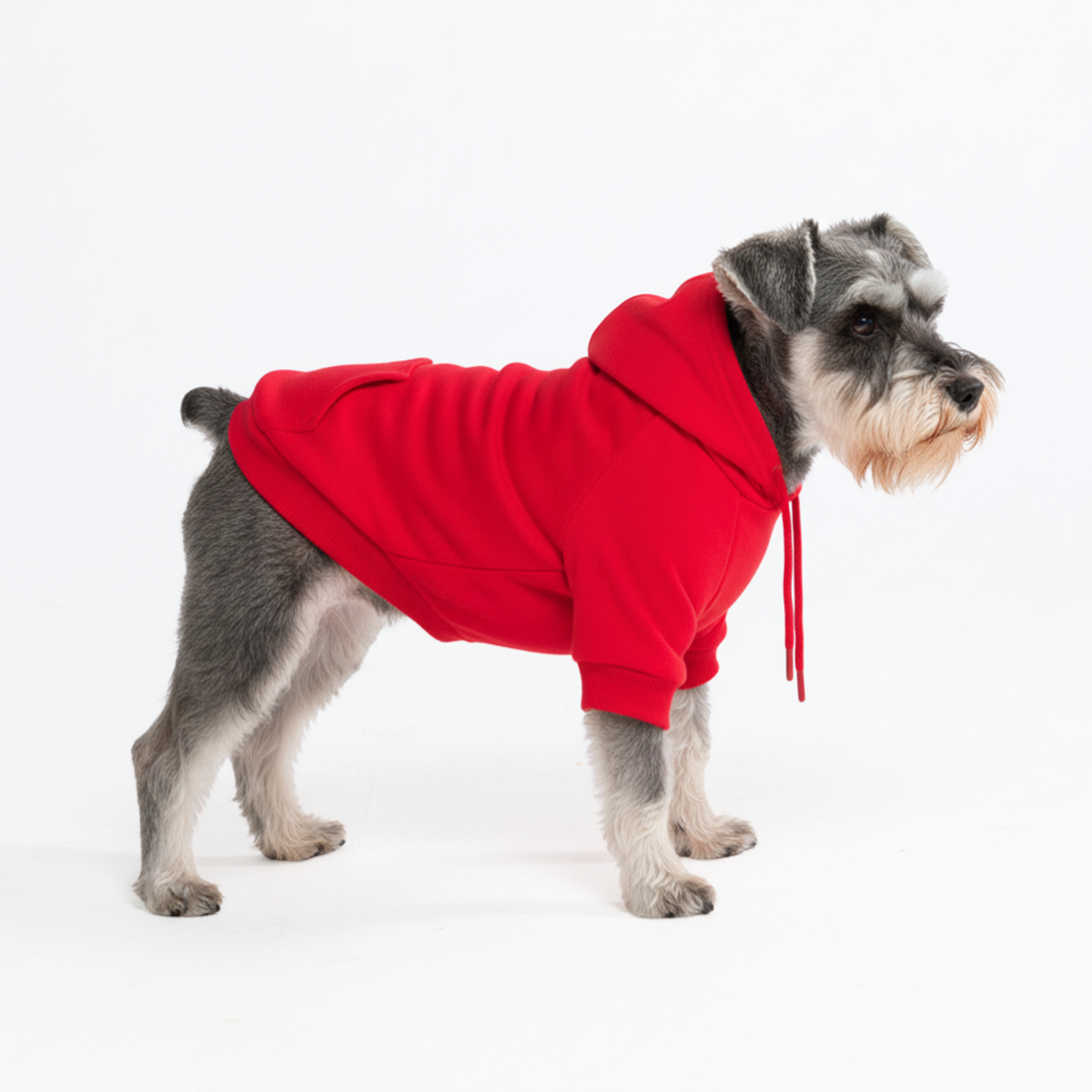 Essential Dog Hoodies