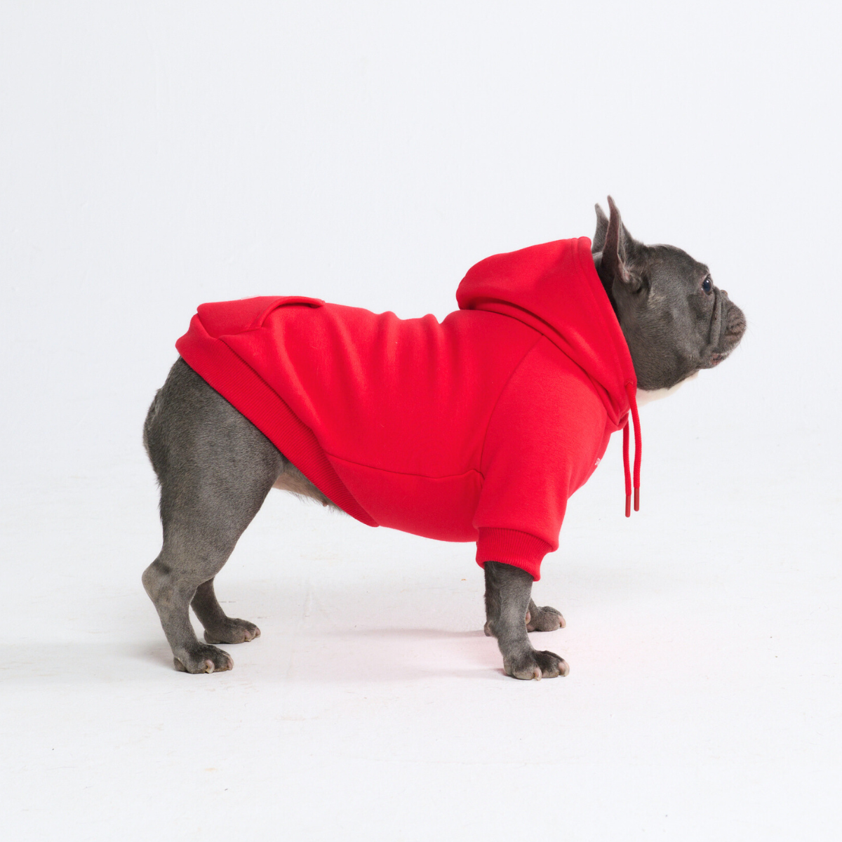Essential Dog Hoodies