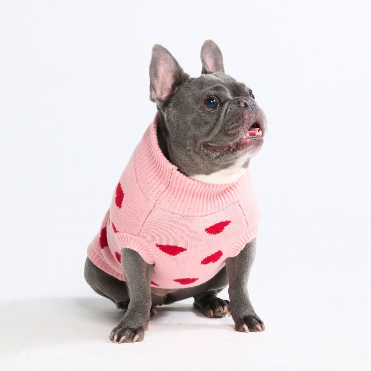 Knit Dog Sweater Prints