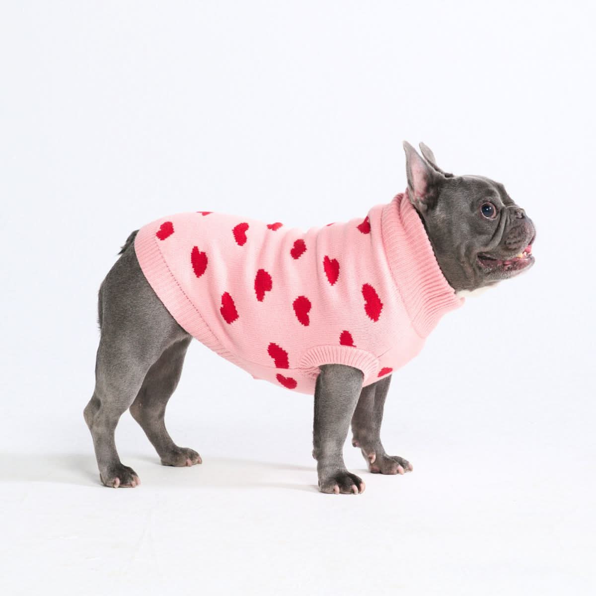 Knit Dog Sweater Prints